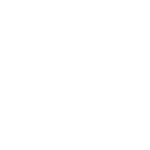 Адвокат Волков П.П.